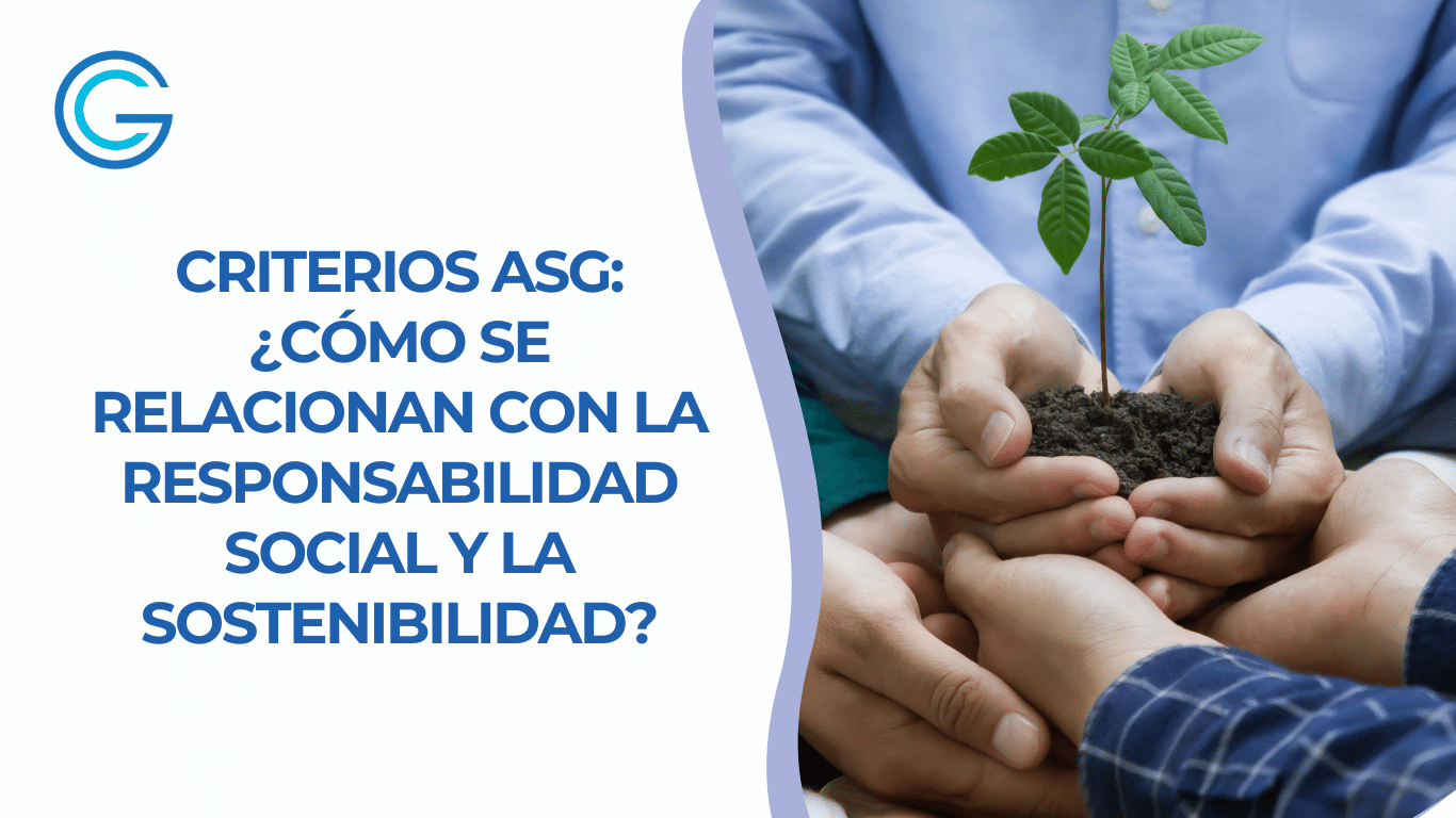 imagen de blog del tema criterios asg, mostrando varias manos sosteniendo una planta