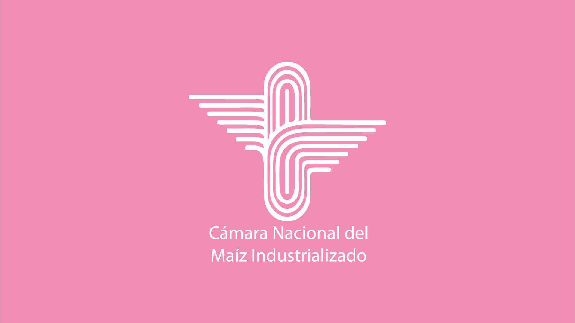 thumbnail que muestra el logo de canami para historia de exito de guardia consultores